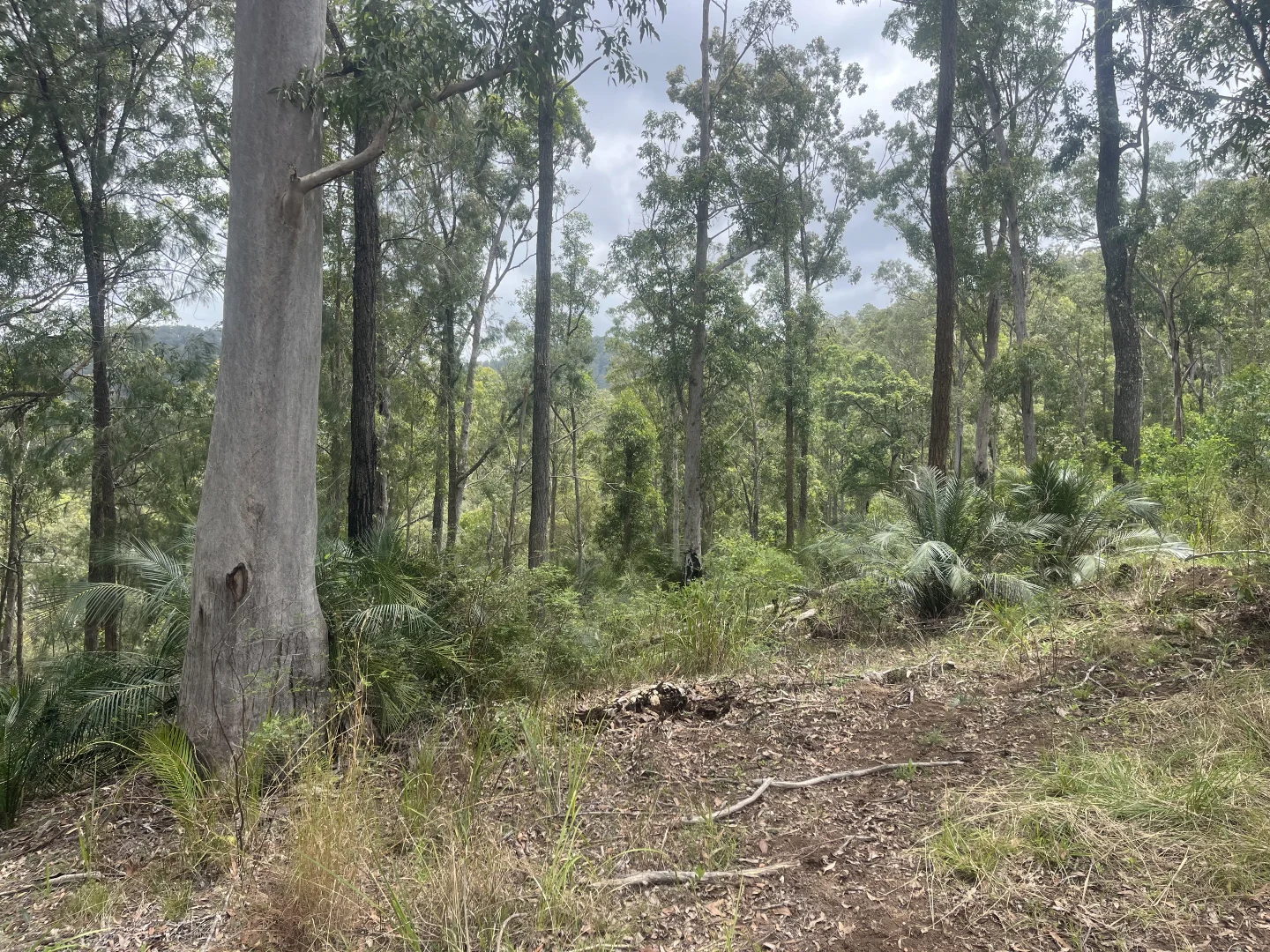 Additional image 23 of 173 Knodingbul Forest Road, Mount George NSW 2424