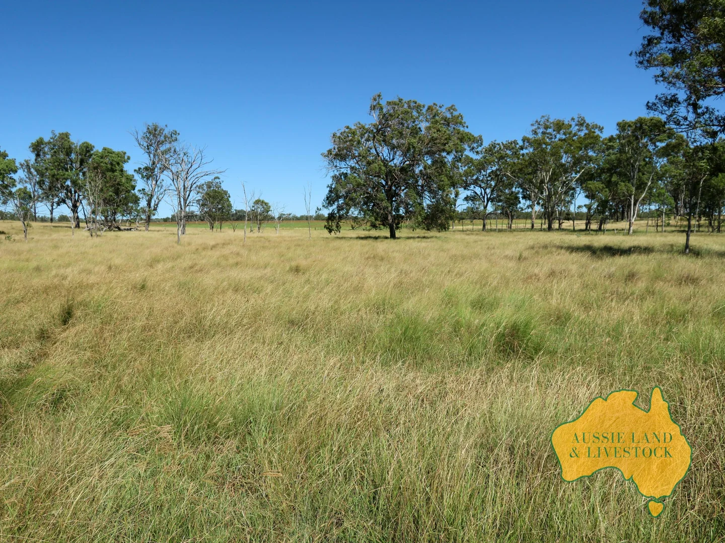 Additional image 8 of 629 Stuart Valley Drive, Haly Creek QLD 4610