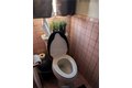 Additional image 37 of 203 W 77th St, Los Angeles, CA, 90003