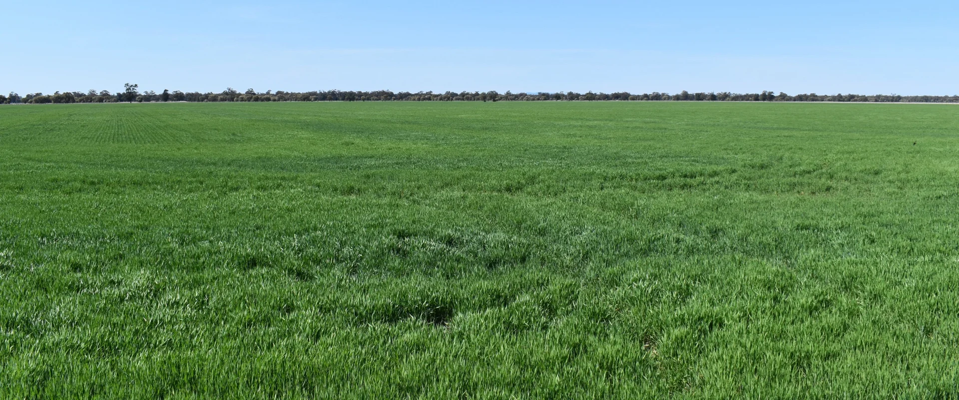 Additional image 2 of 6689 Mid Western Highway, Caragabal NSW 2810