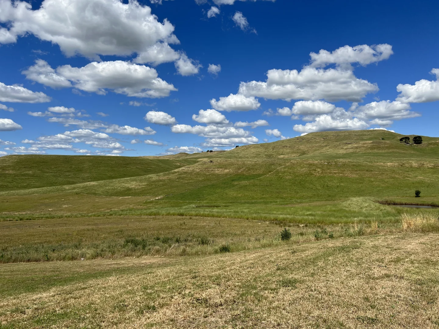 Additional image 2 of 73 Donovans Way, Mansfield VIC 3722