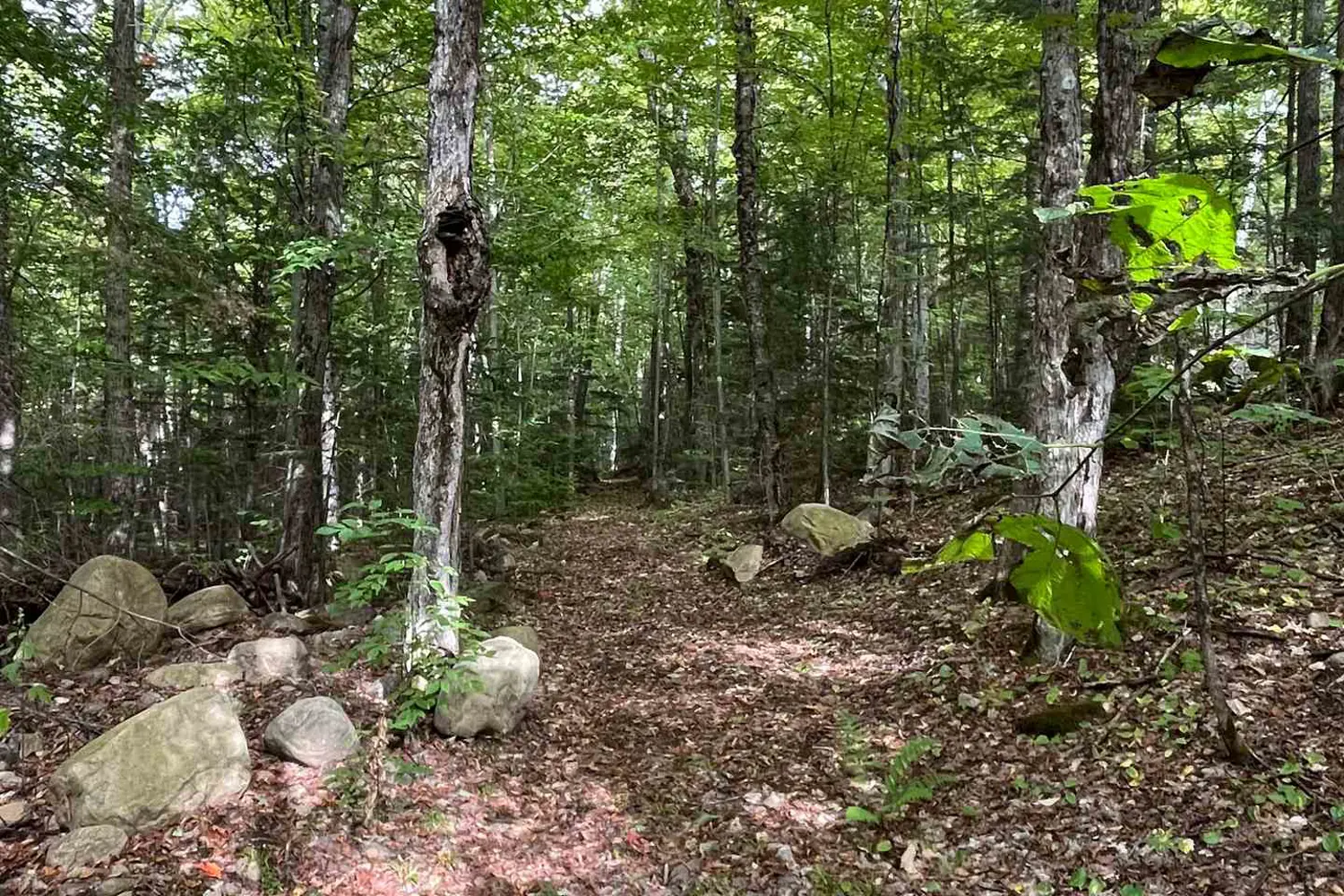 Additional image 9 of 4488 Kawagama Lake Road