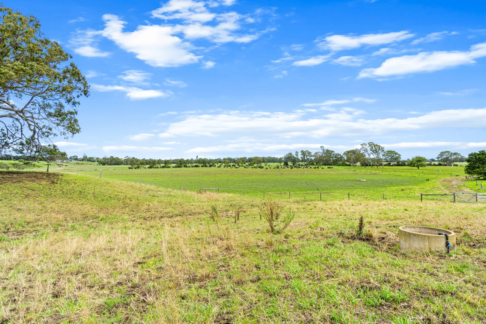 Additional image 27 of 407 Riverview Road, Heyfield VIC 3858