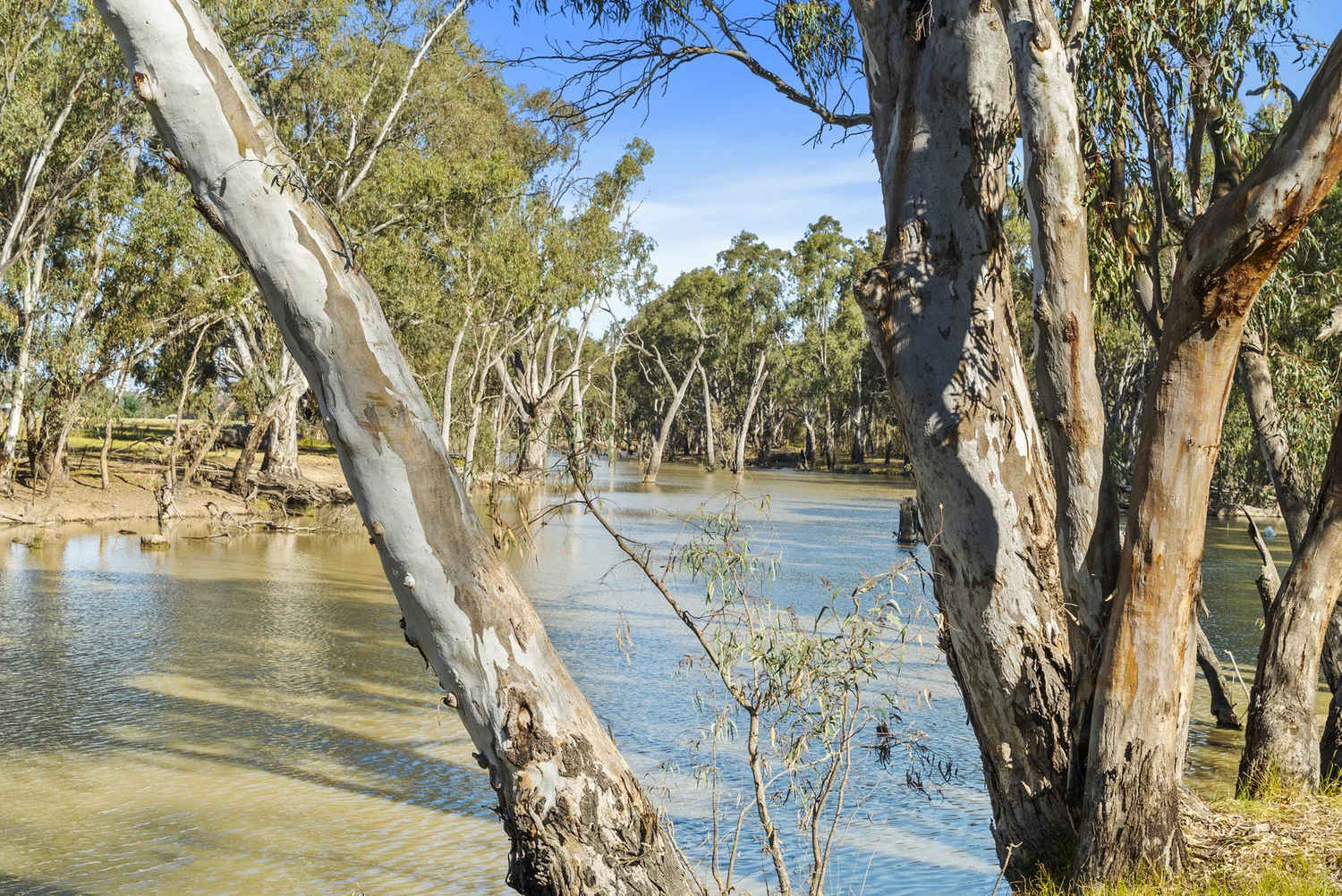 Additional image 32 of 975 Hardings Road, Picola VIC 3639