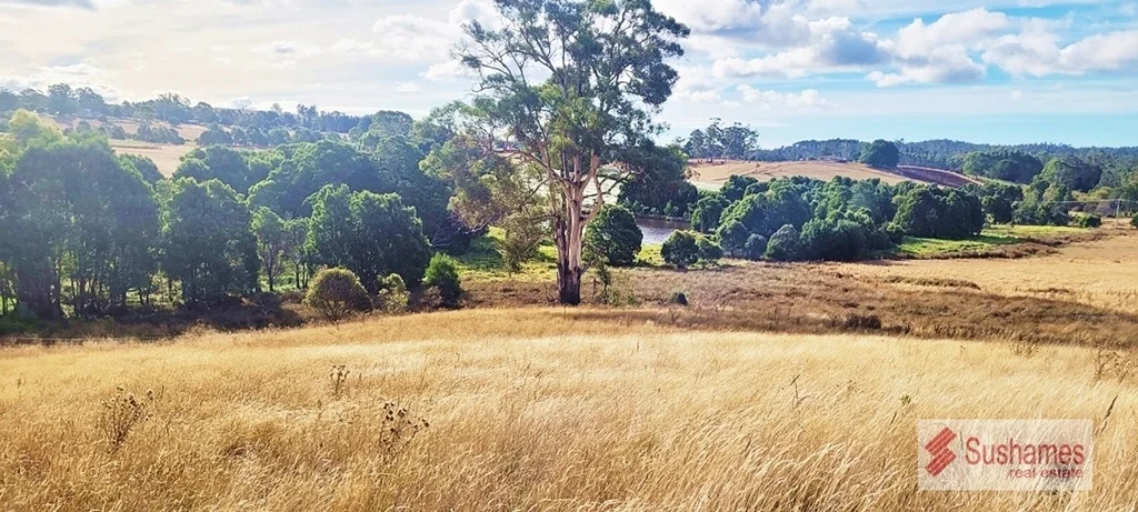 Additional image 9 of Lot 2 Storys Road, Lebrina TAS 7254