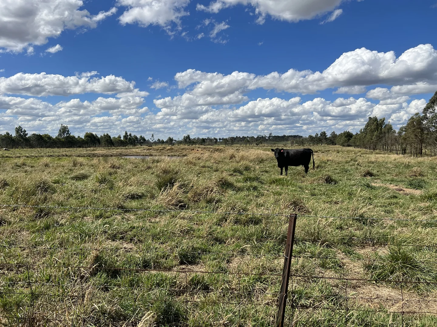 Additional image 25 of Lot 1 Mount Rae Road, Roslyn, Crookwell NSW 2583