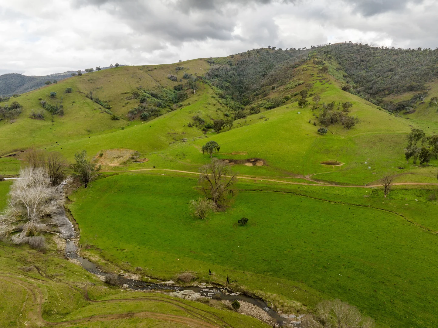 Additional image 14 of 'Rockview' 400 Horse Creek Road, Jingellic NSW 2642