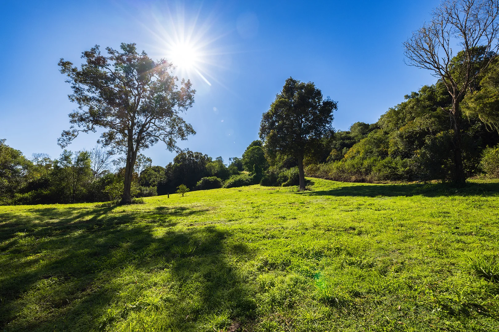 Additional image 13 of 48 Lincoln Avenue, McLeans Ridges NSW 2480