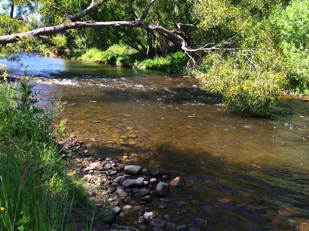 Additional image 2 of 1093 Taggerty-Thornton Road, Thornton VIC 3712