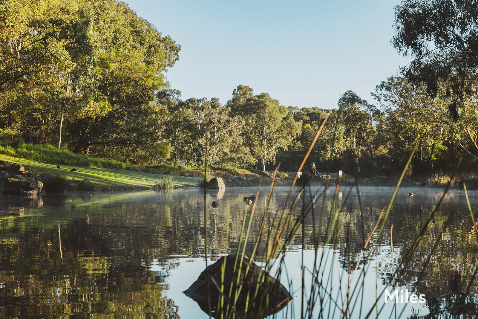 Additional image 14 of 3 Waverley Avenue, Ivanhoe VIC 3079