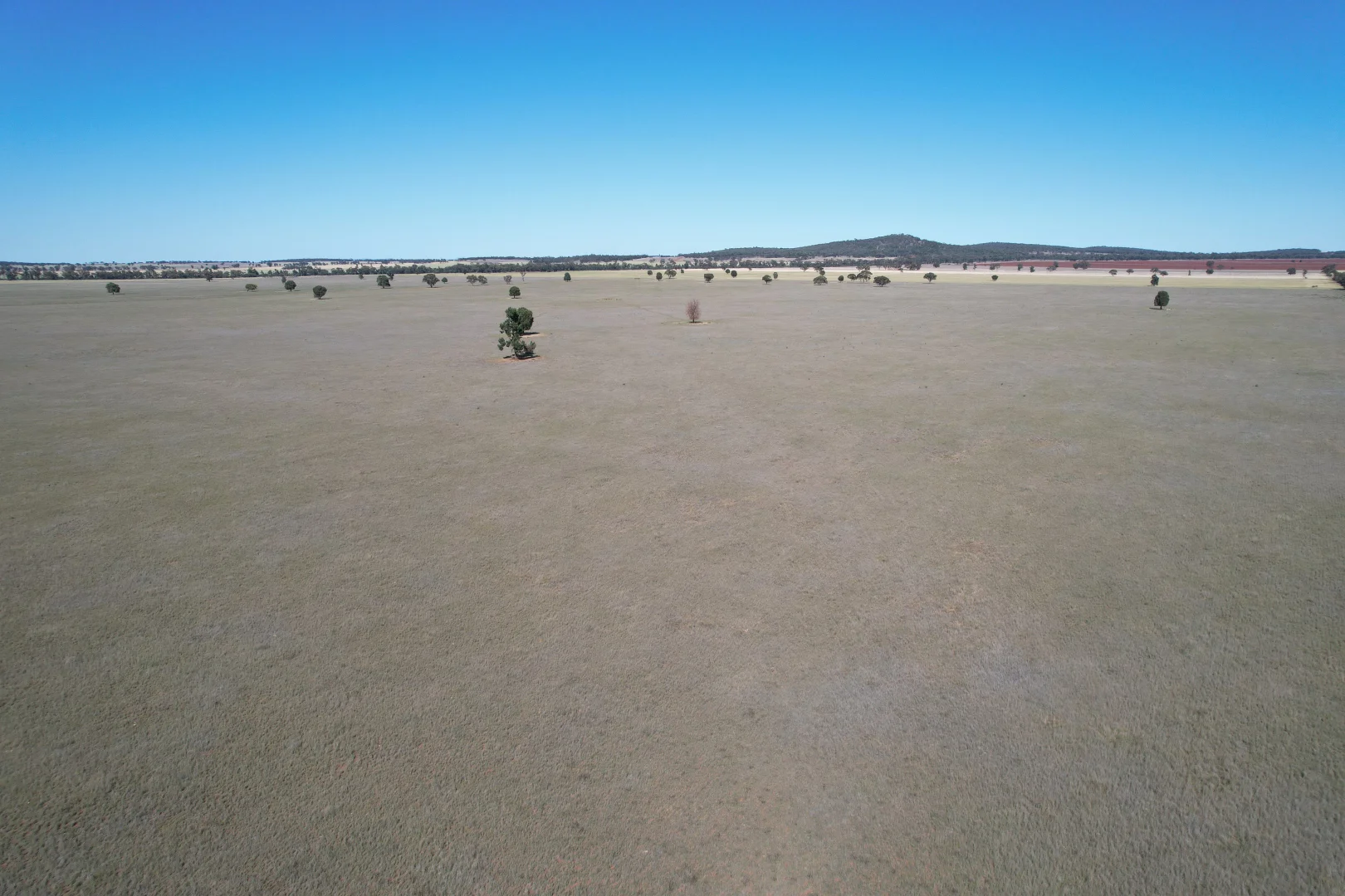 Additional image 7 of 'Boree Glen' 456 Whymarks Lane, Tullibigeal NSW 2669