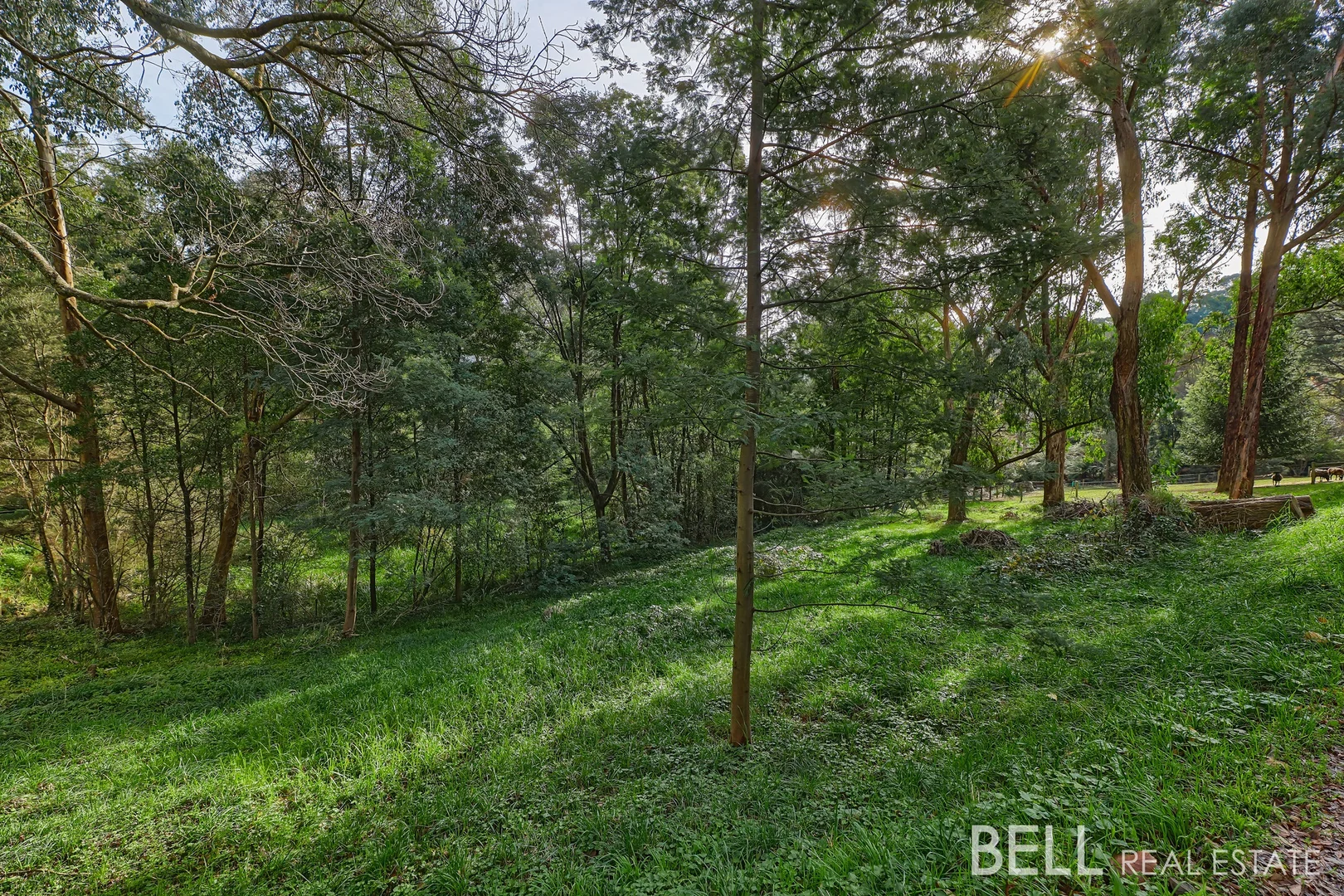 Additional image 4 of 7 Brookdale Avenue, Emerald VIC 3782