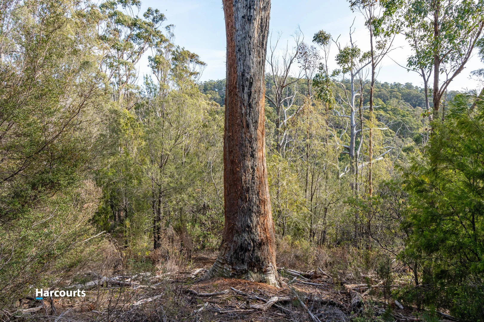 Additional image 11 of 44 Klasen Road, Police Point TAS 7116