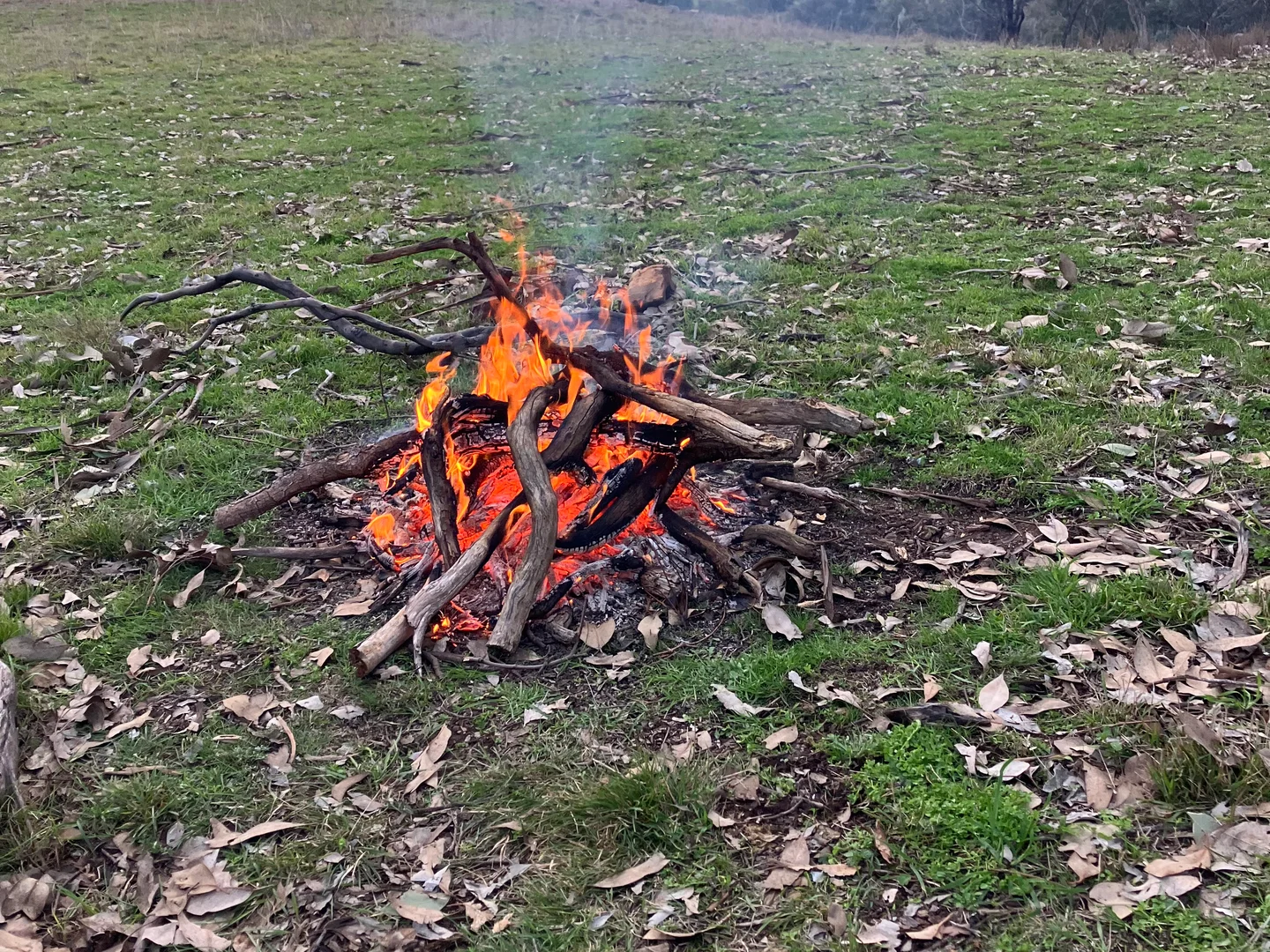 Additional image 14 of 27 Oak Street, Reids Flat NSW 2586