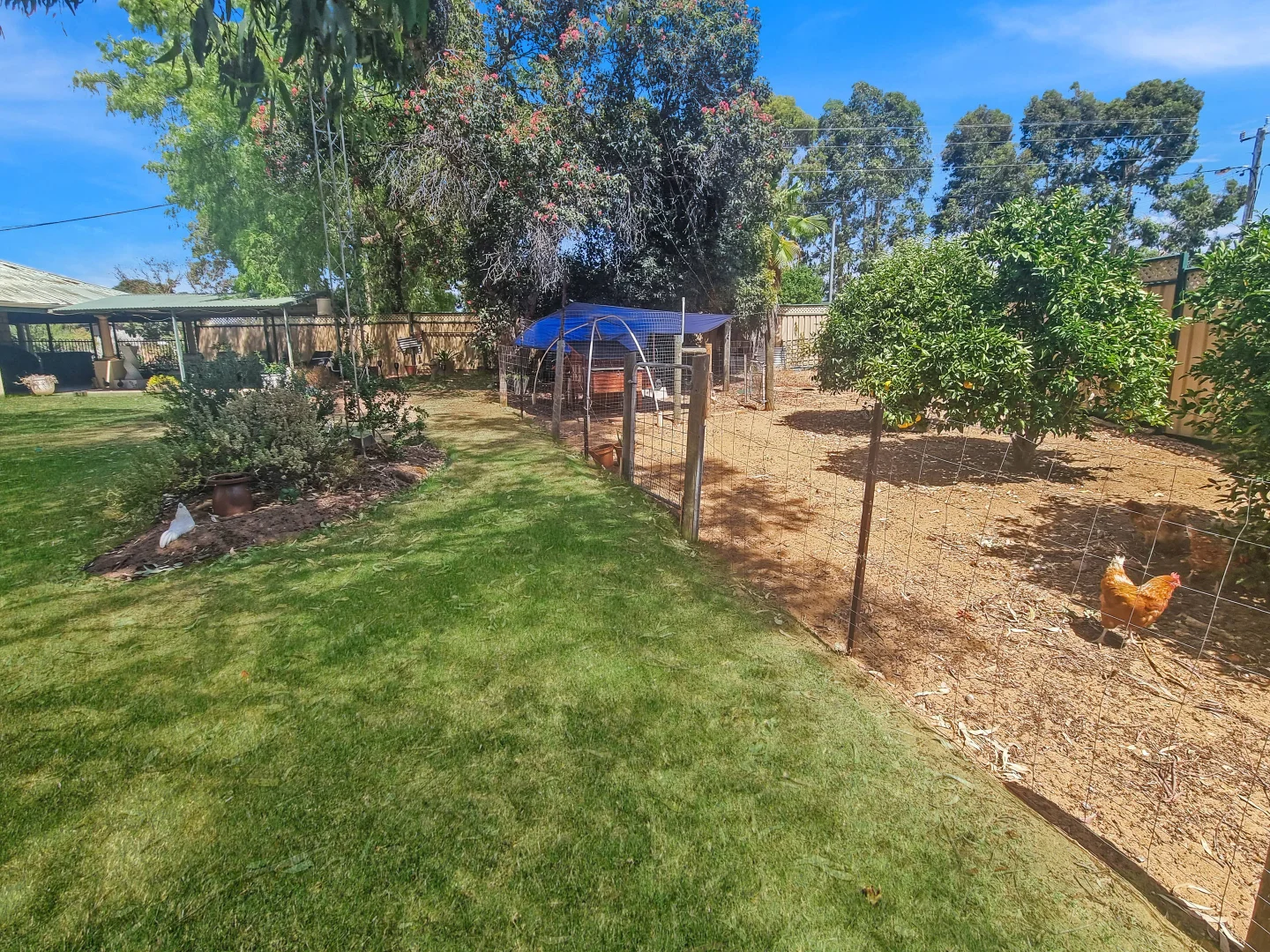 Additional image 6 of 3450 Dandaragan Road, Dandaragan WA 6507