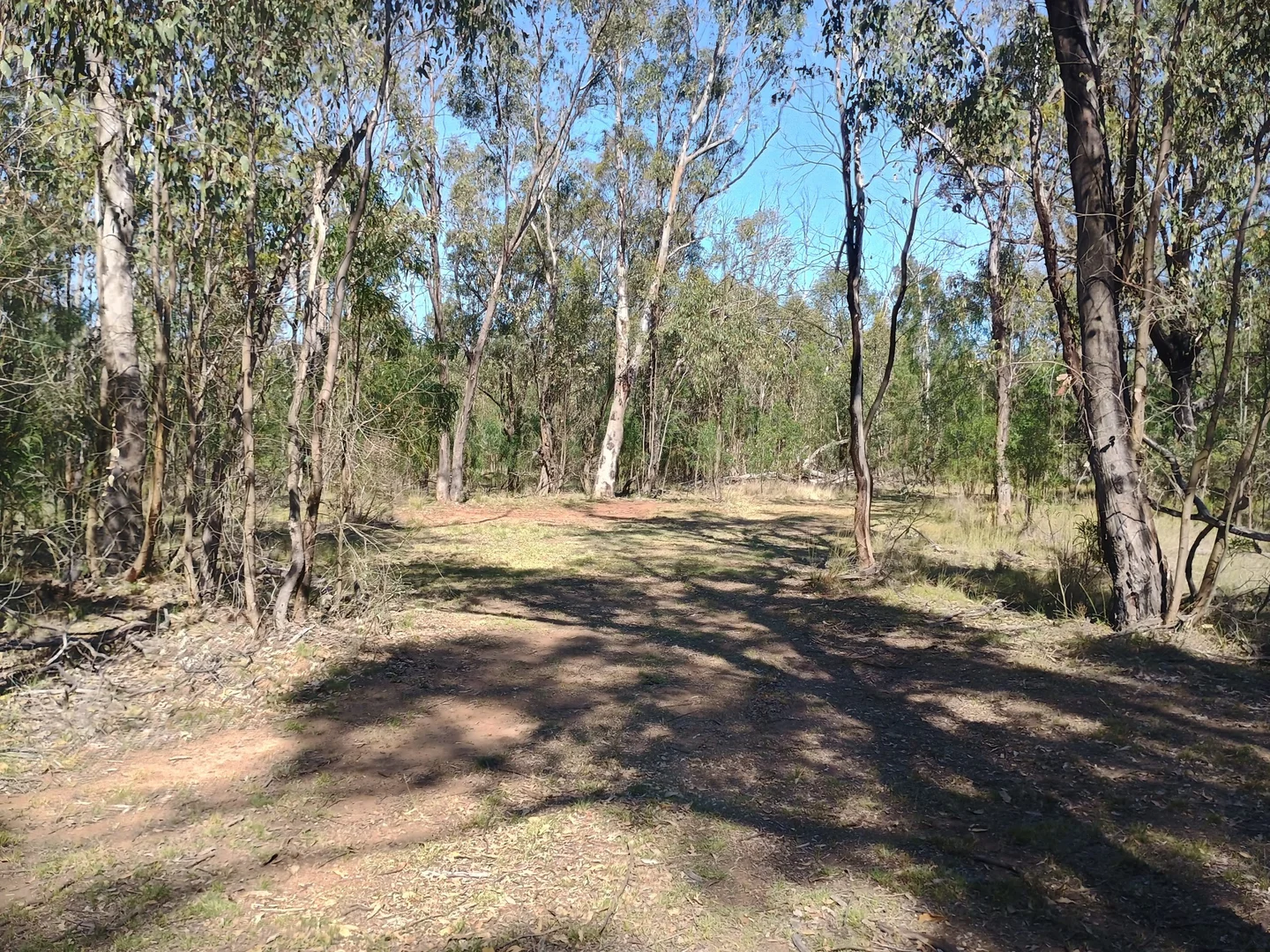 Additional image 8 of Coolah NSW 2843