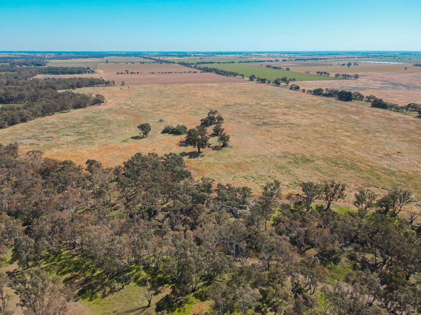 Additional image 7 of Teddywaddy VIC 3527