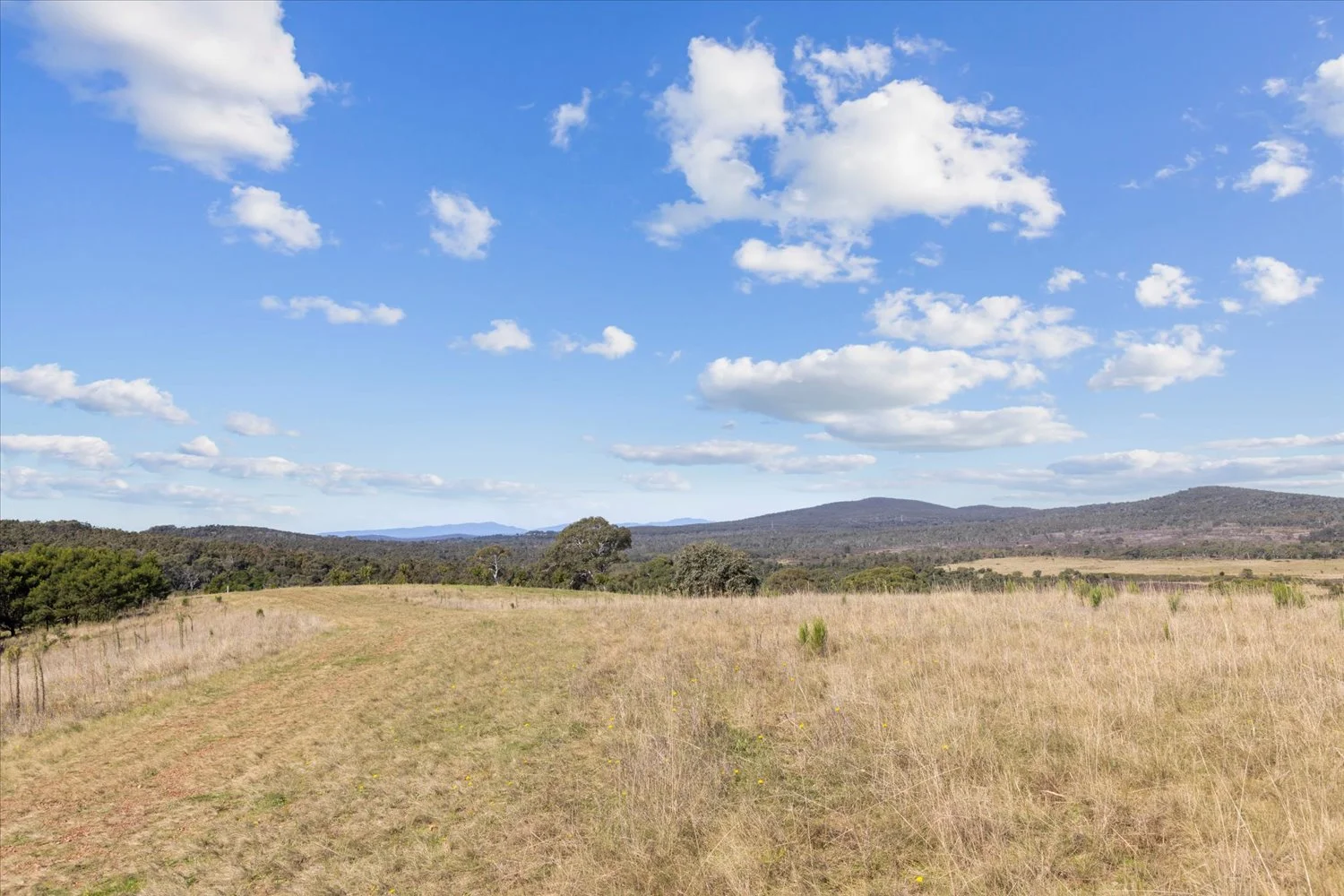 Additional image 32 of 134 Lakeview Road, Tarago NSW 2580