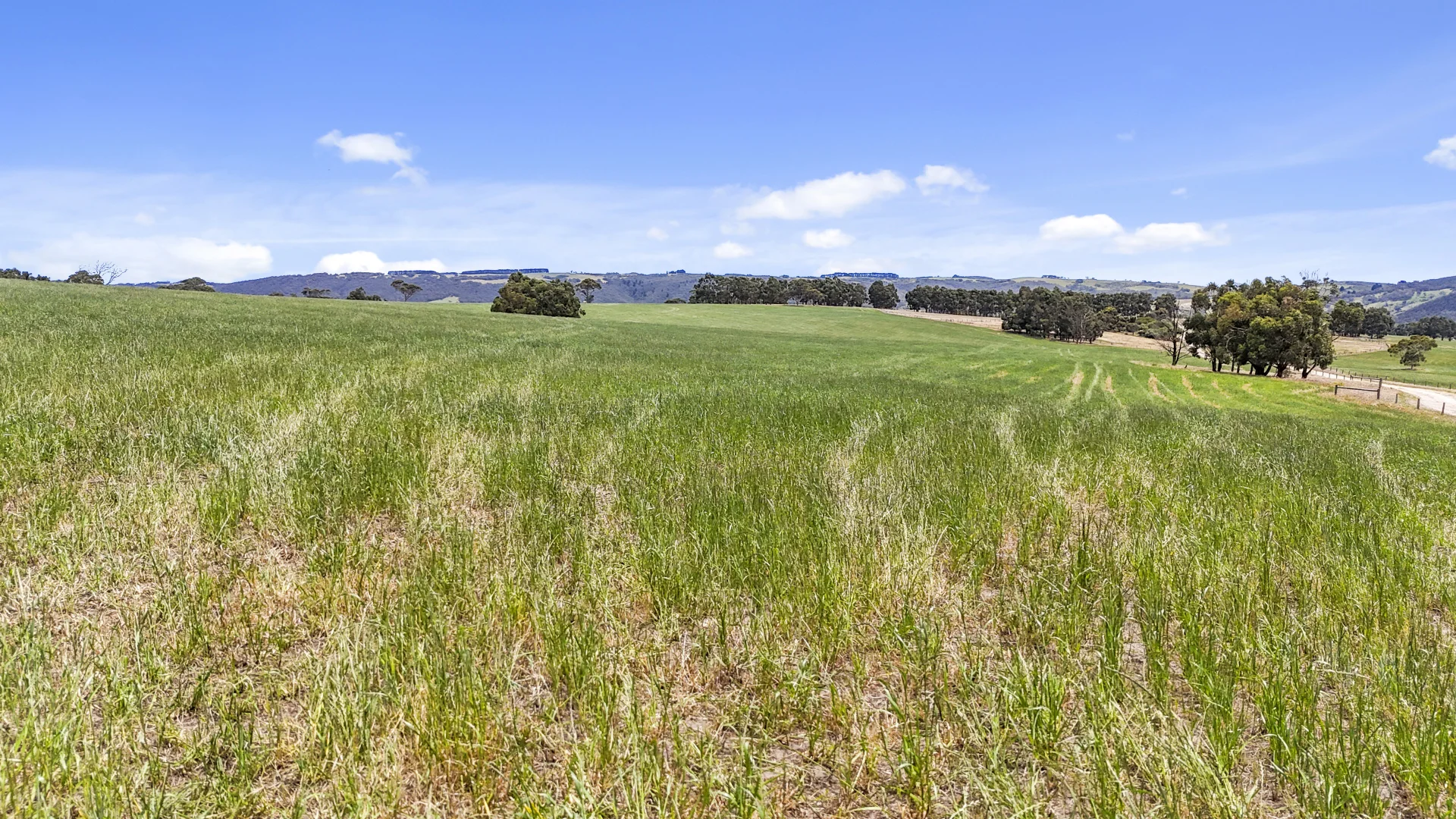 Additional image 46 of 228 Hutchinson Road, Hindmarsh Valley SA 5211