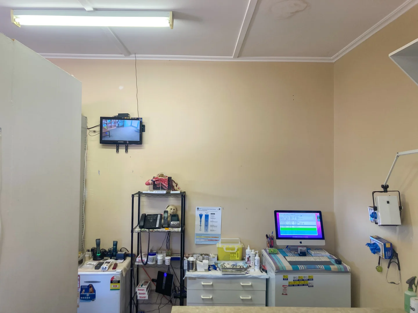 Additional image 10 of 34 Main Street, Cowell SA 5602