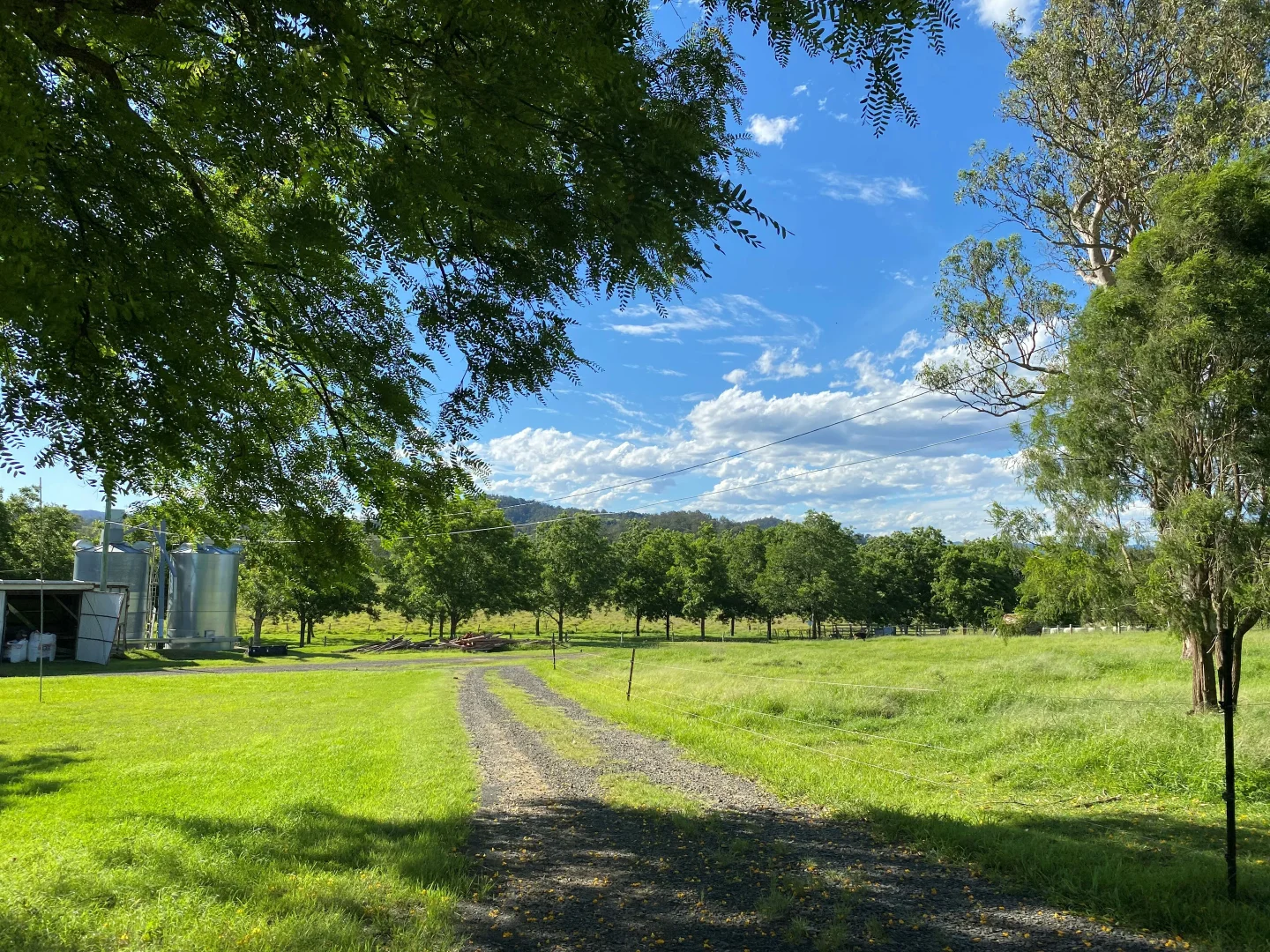 Additional image 26 of 139 Homestead Road, Kyogle NSW 2474