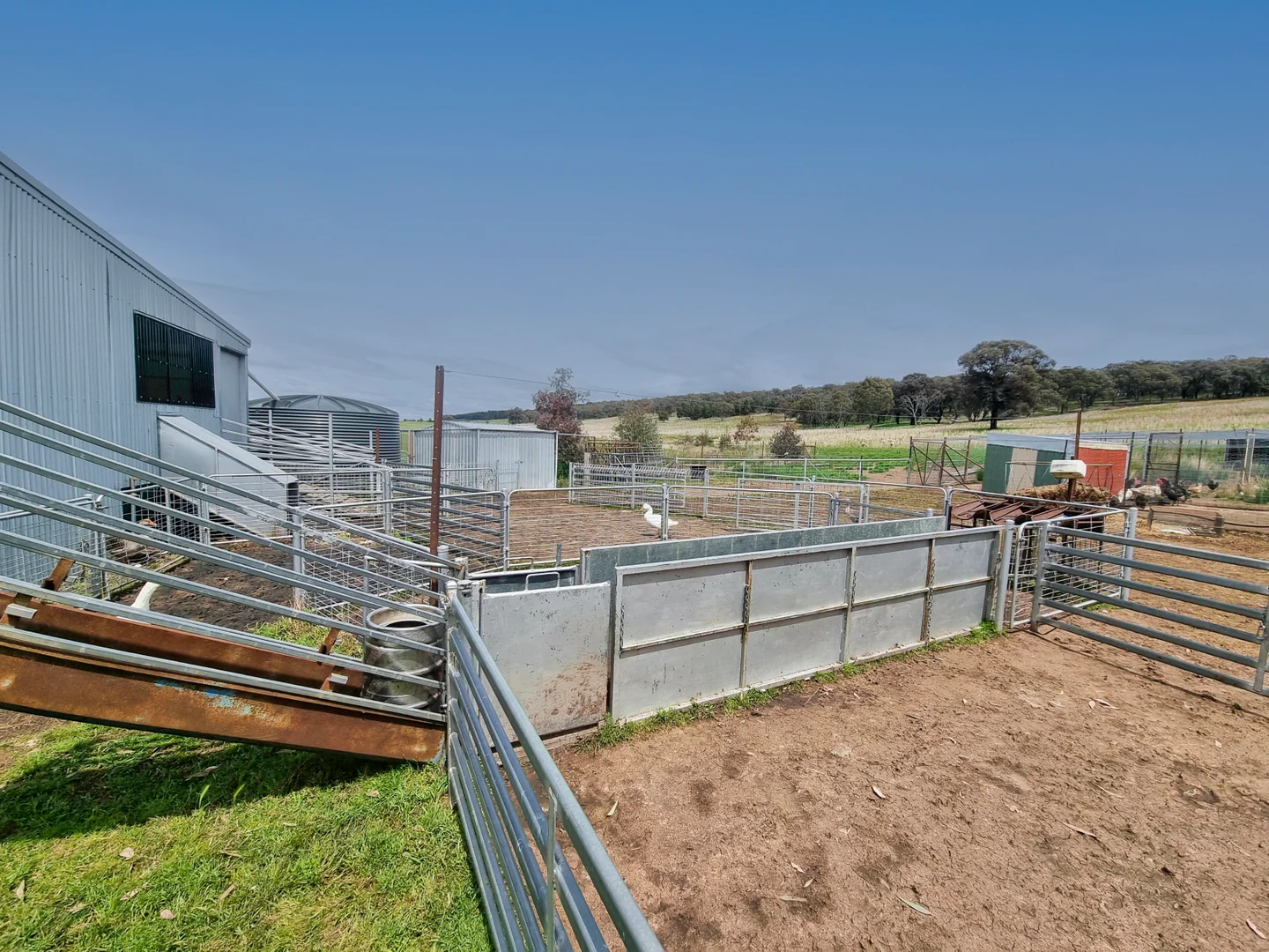 Additional image 8 of 823 Peabody Road, Molong NSW 2866