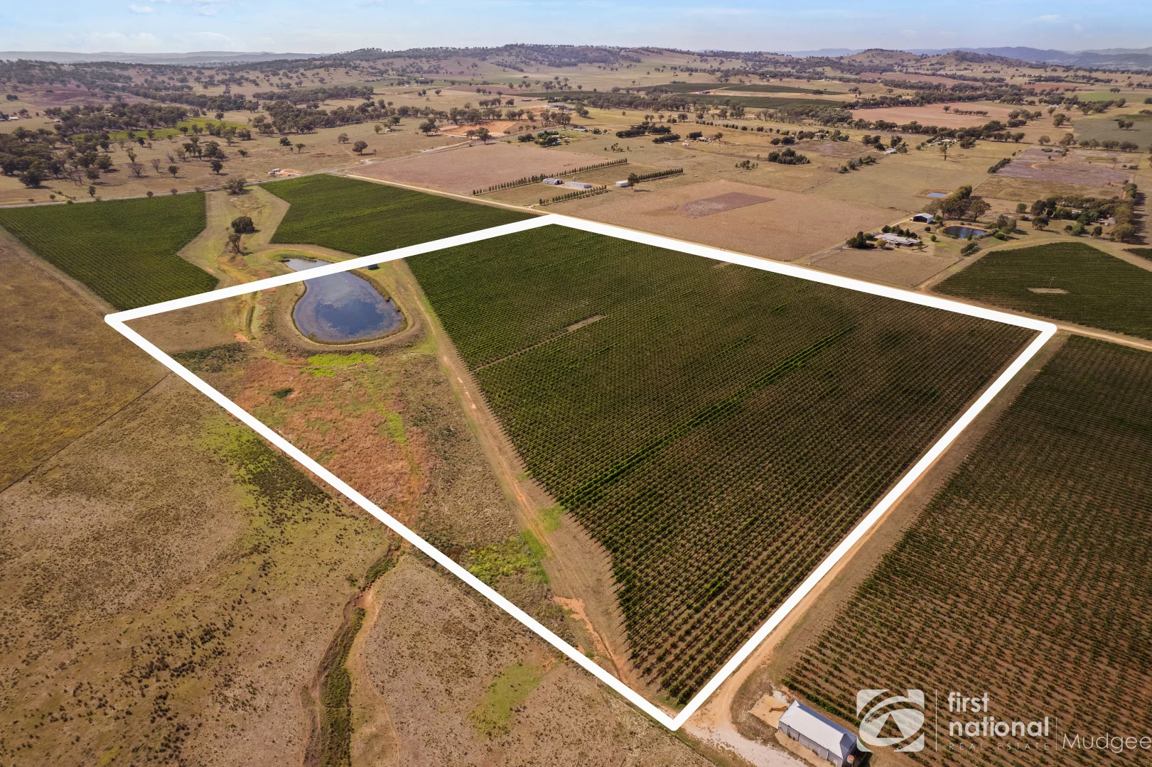 Additional image 11 of 70 Shiraz Drive, Gulgong NSW 2852