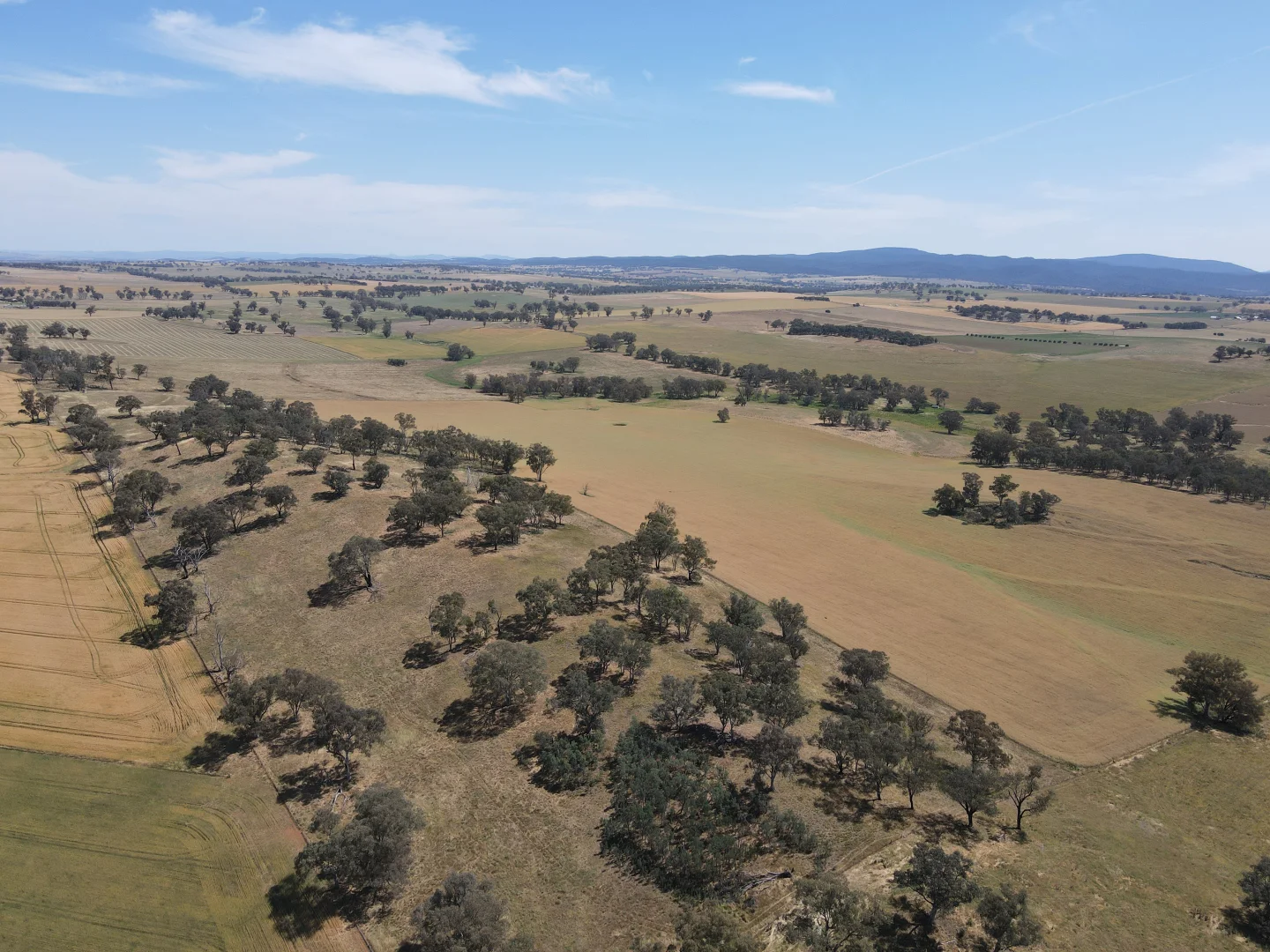 Additional image 10 of 1 Tremains Lane, Toogong NSW 2864