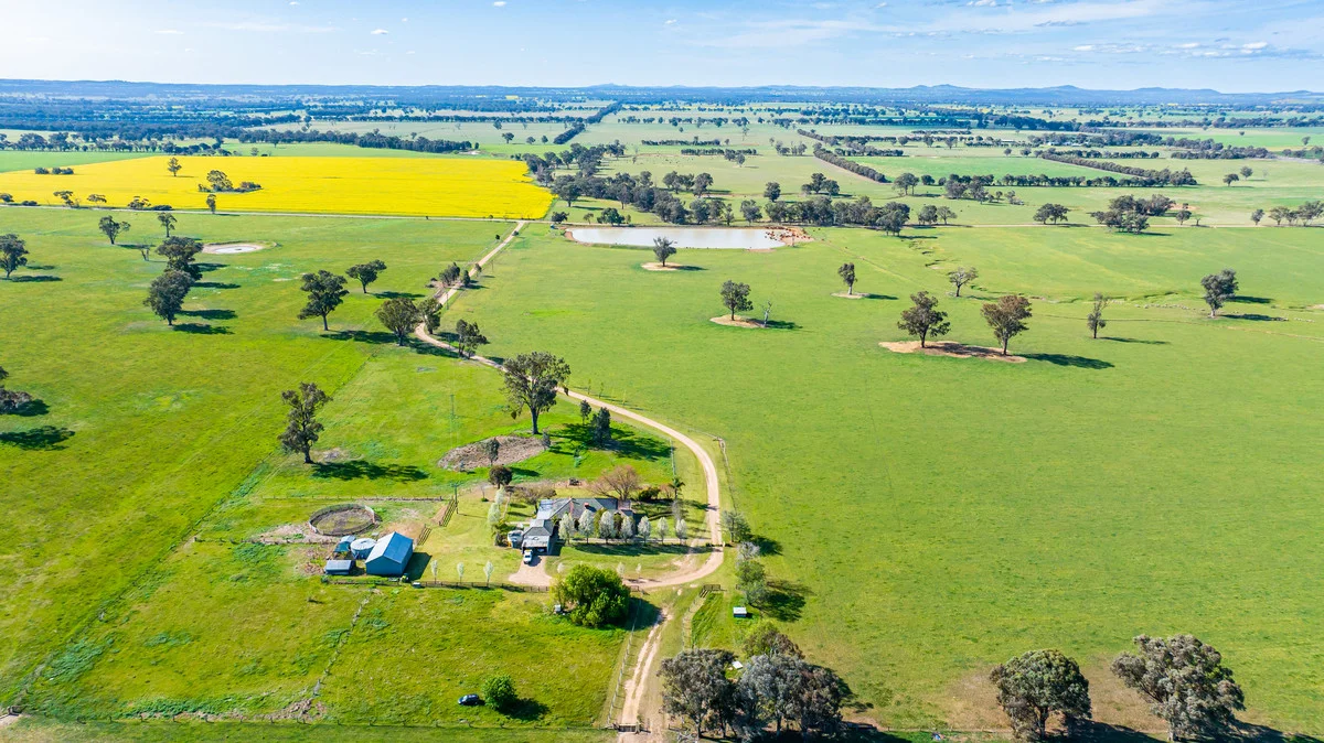 Additional image 26 of 1791 Olympic Highway, Culcairn NSW 2660