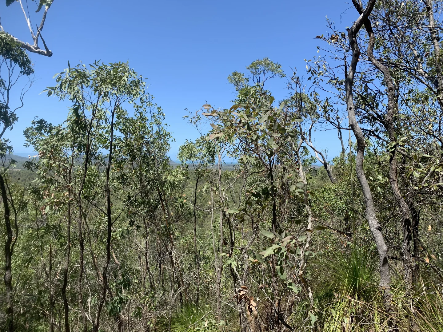 Additional image 18 of LOT 36 Whitsunday Dr, Bloomsbury QLD 4799