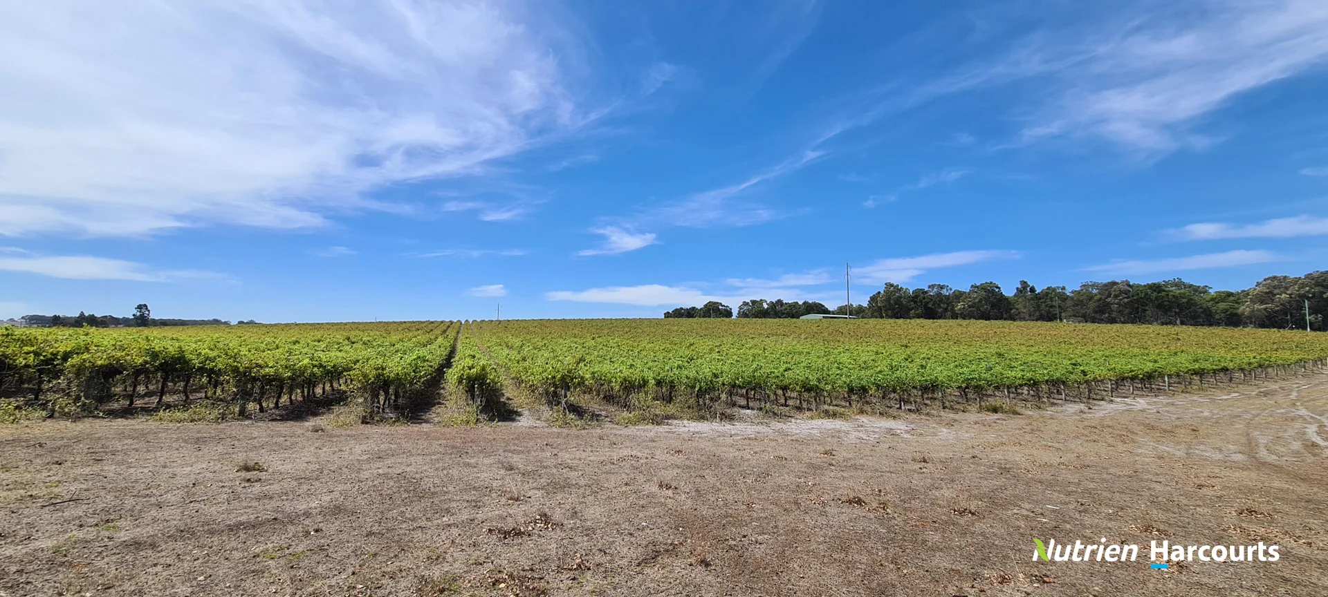 Additional image 9 of 267 Spencer Road, Narrikup WA 6326