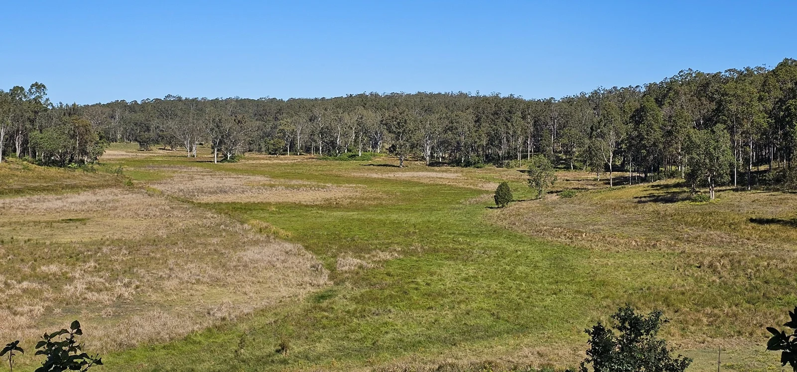 Additional image 10 of 981 Old Dyraaba Road, Lower Dyraaba NSW 2470