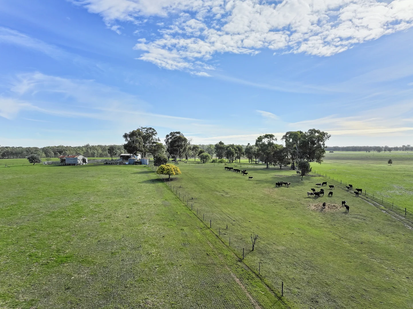 Additional image 5 of 158 Box Hill Lane, Upotipotpon VIC 3669