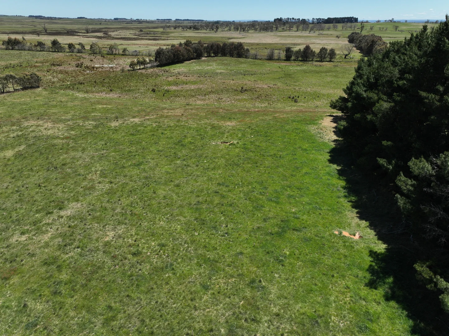 Additional image 13 of Lot 1 Mount Rae Road, Roslyn, Crookwell NSW 2583
