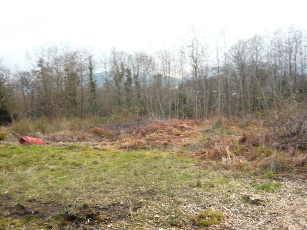 Land for salePlot Innerghlinnie Shore Road, Kilmun PA23 photo 5