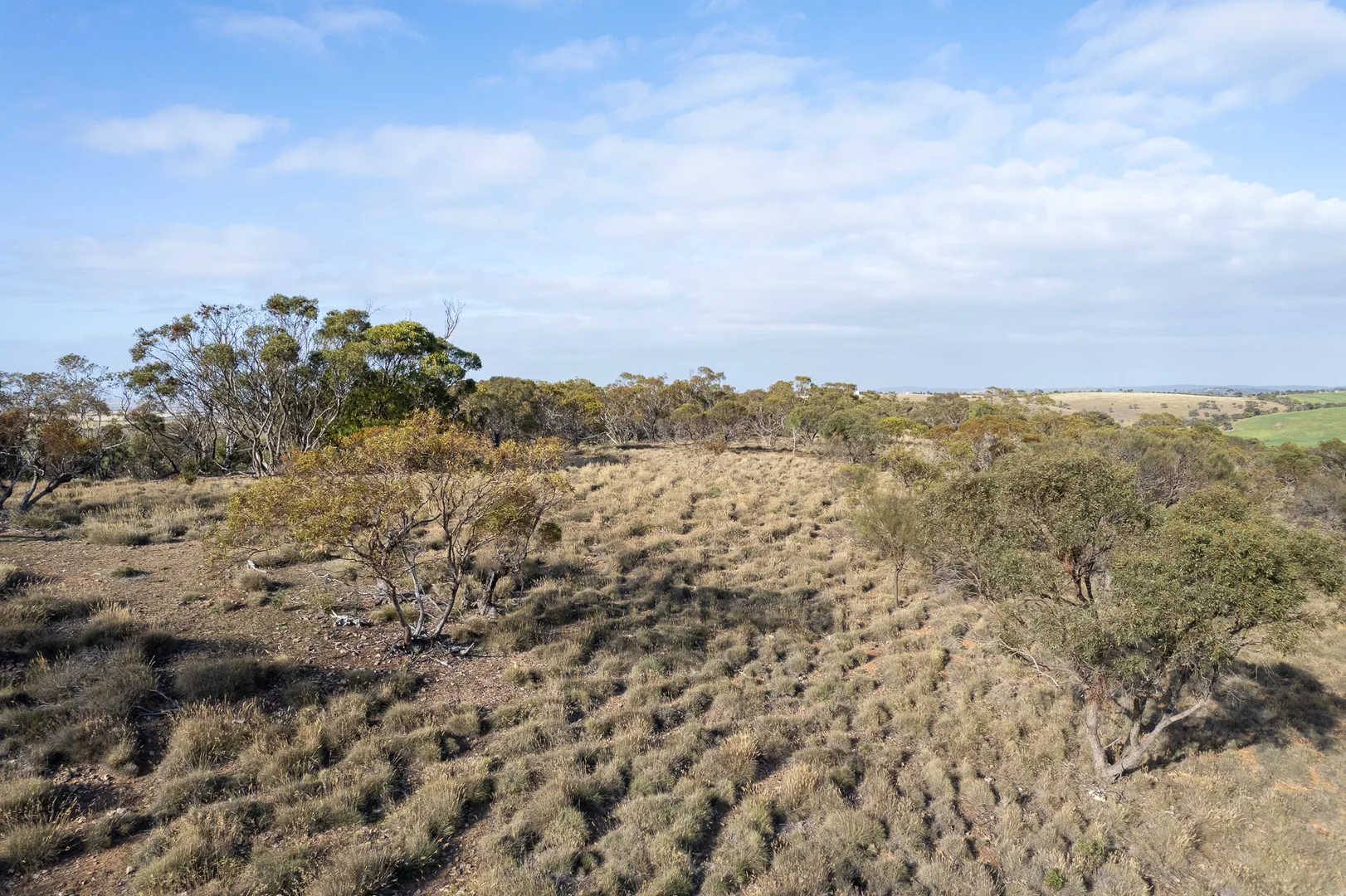 Additional image 18 of Lots 99 & Bawdens Road, Lipson SA 5607