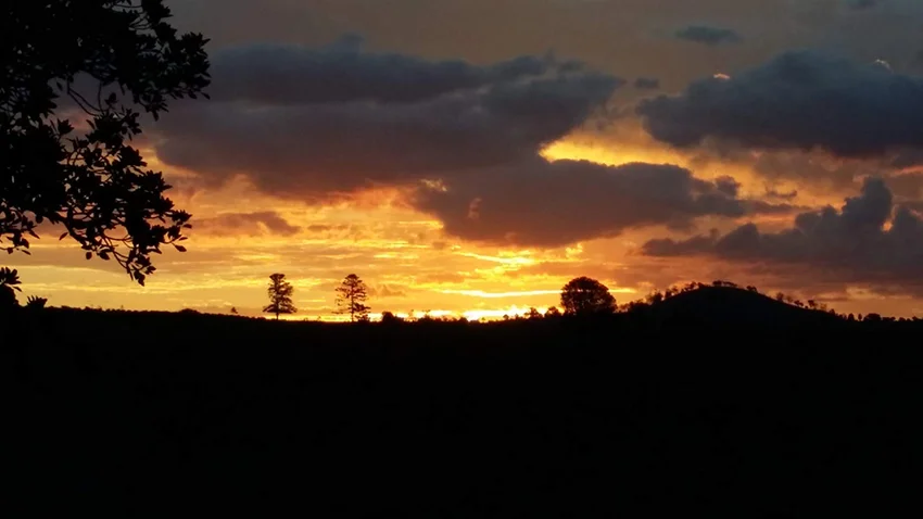 Additional image 36 of 59 Thornville Range Road, Thornville QLD 4352