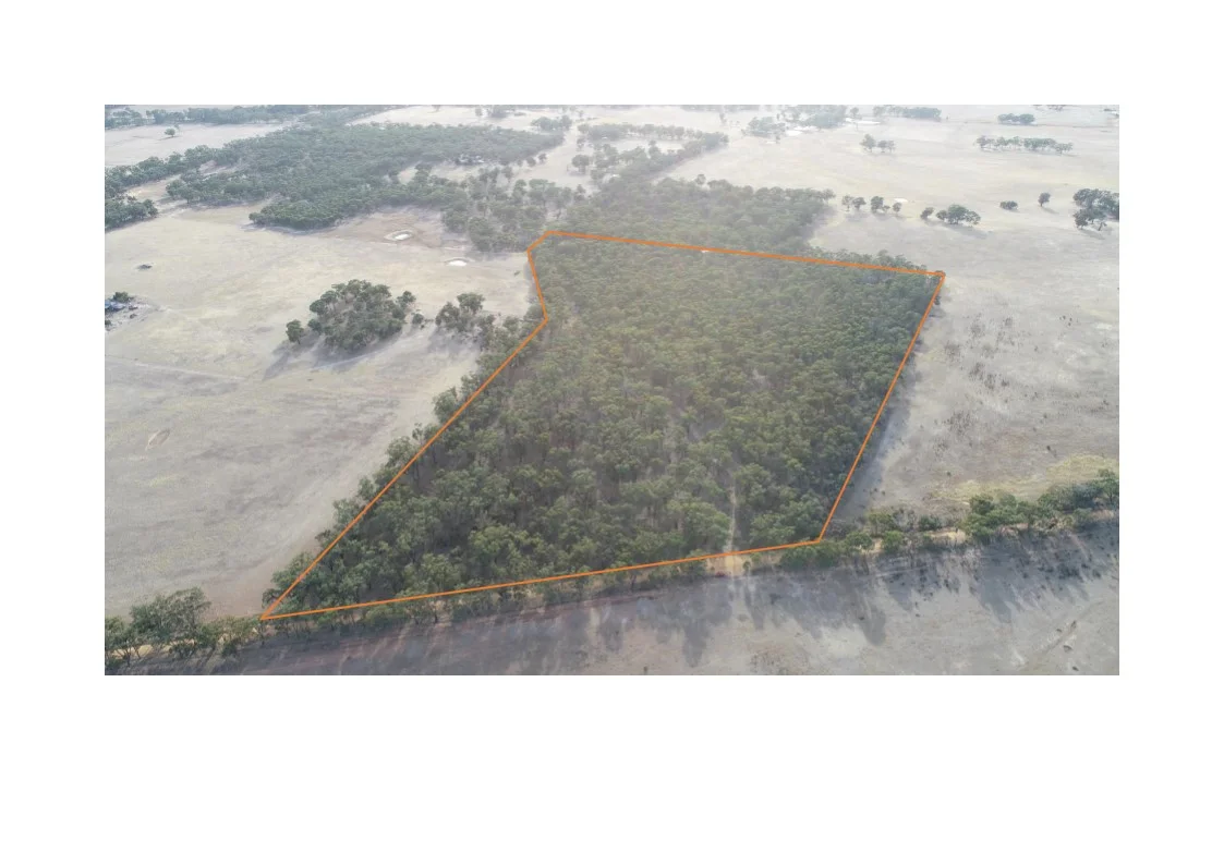 Additional image 3 of 0 Carapooee Road, St Arnaud East VIC 3477