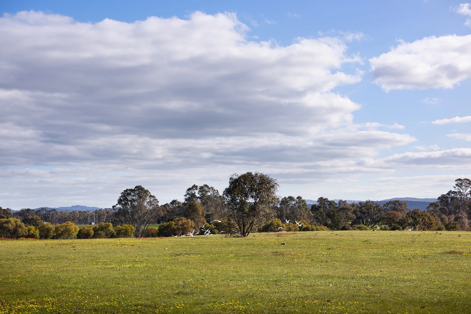 Additional image 5 of 4 Axe Creek Road, Axe Creek VIC 3551