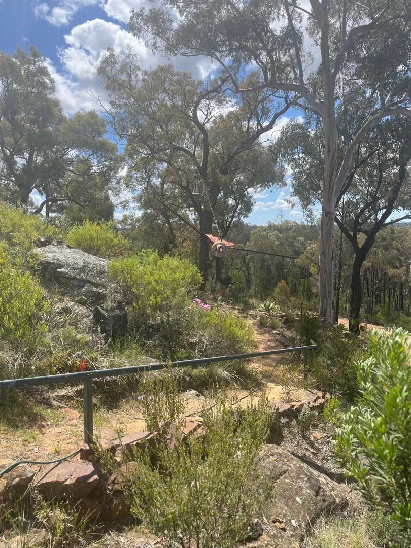 Additional image 25 of 4655 Baradine Road, Coonabarabran NSW 2357