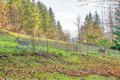 Additional image 13 of 110 Lenora Ln, Kelso, WA, 98626