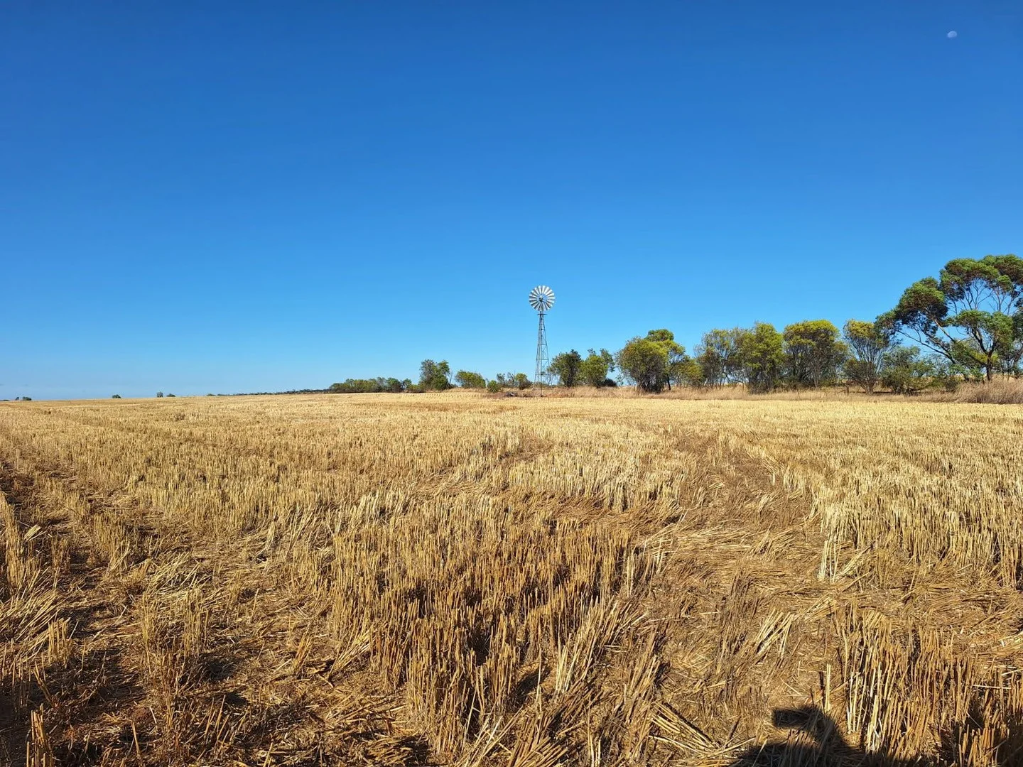 Additional image 4 of Lot 801 Carnamah - Perenjori Road, Carnamah WA 6517