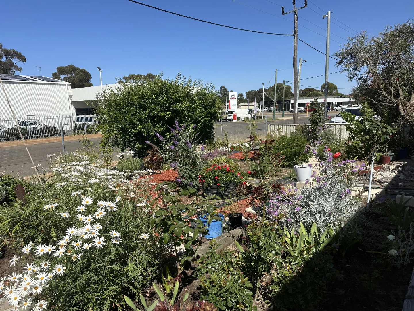 Additional image 27 of 75 Beaufort Street, Katanning WA 6317