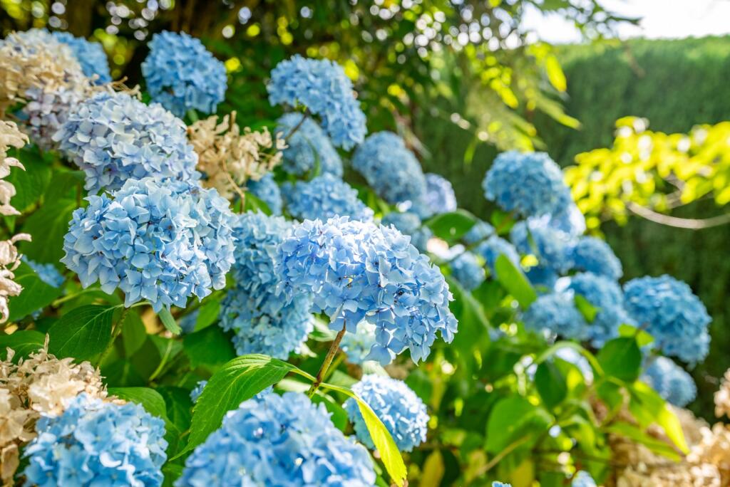 Additional image 18 of London Road, St. Albans, Hertfordshire, AL1