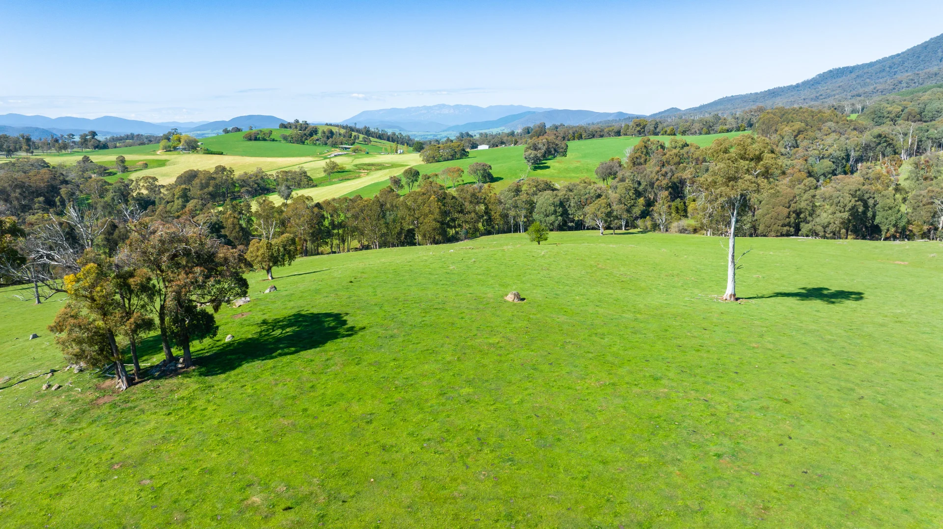 Additional image 10 of 130 Martin Lane, Yackandandah VIC 3749