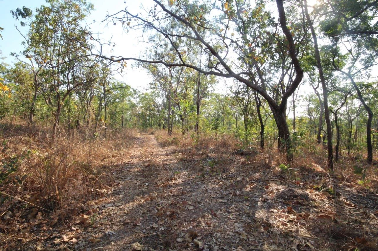 Additional image 16 of Acacia Hills NT 0822