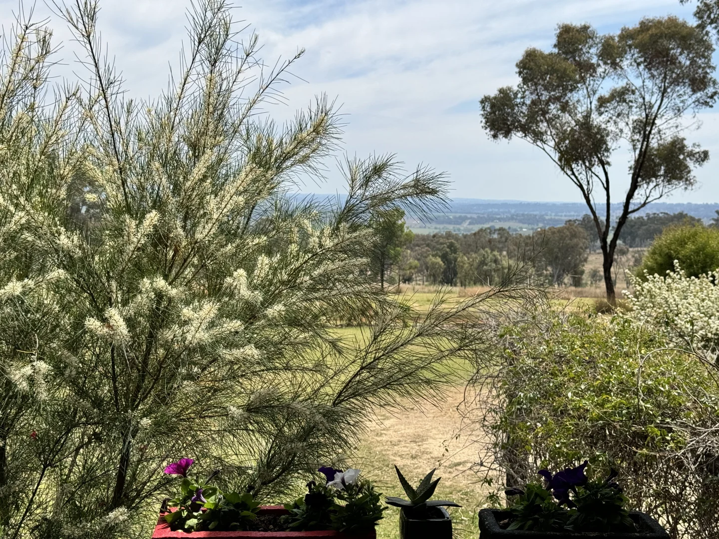 Additional image 25 of 372 Swanbrook Rd, Inverell NSW 2360