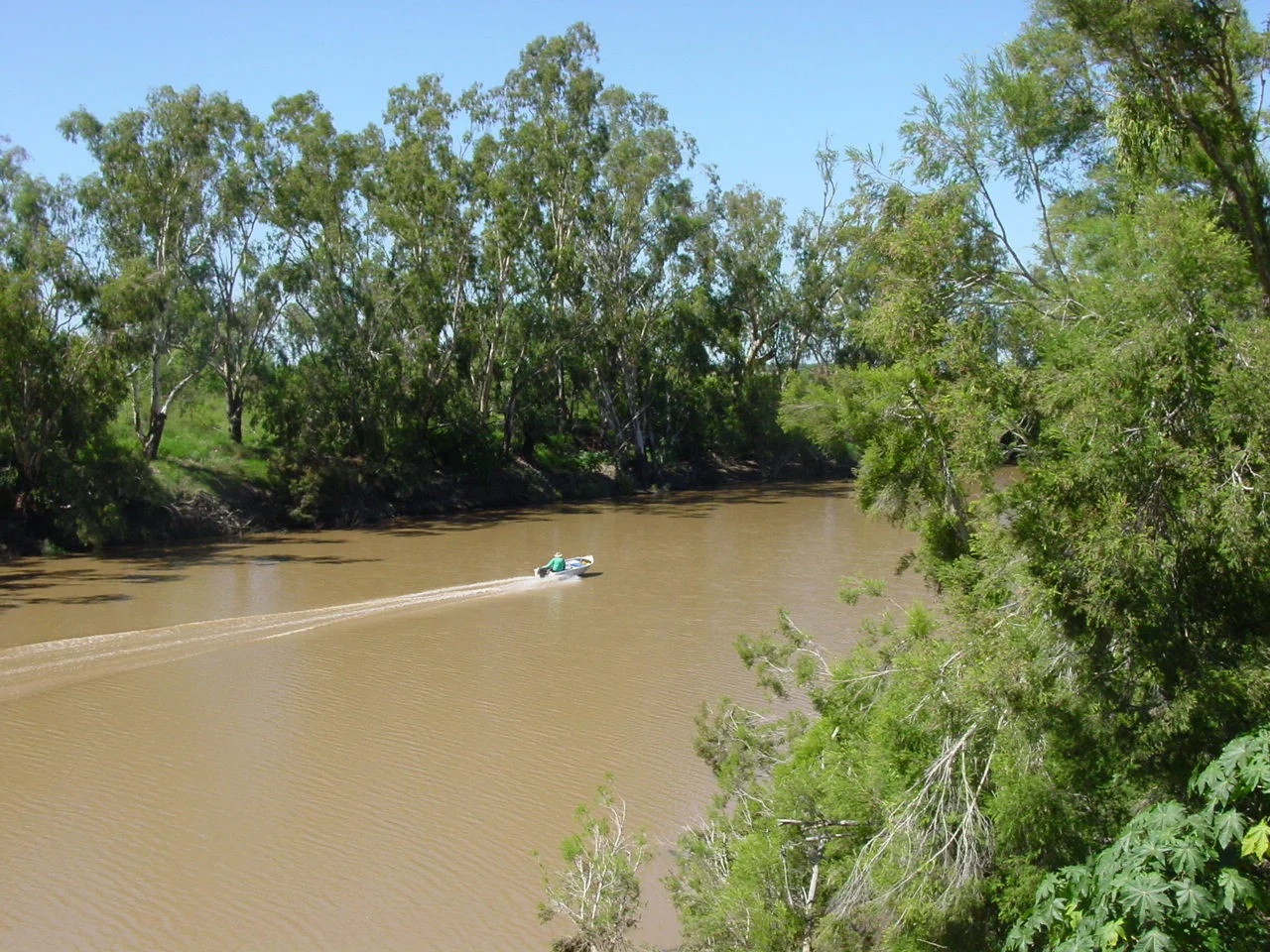 Additional image 12 of Corcoran - Sandalwood Drive, Goondiwindi QLD 4390