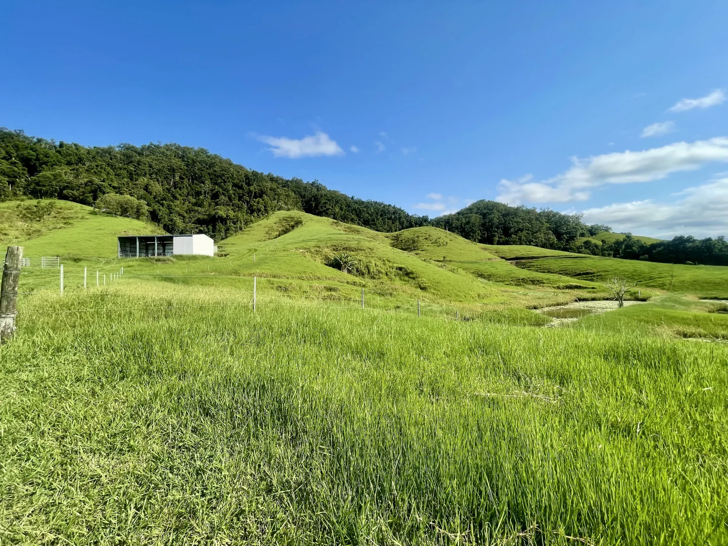 Additional image 9 of 141 Stewart Creek Road, Stewart Creek Valley, Daintree QLD 4873