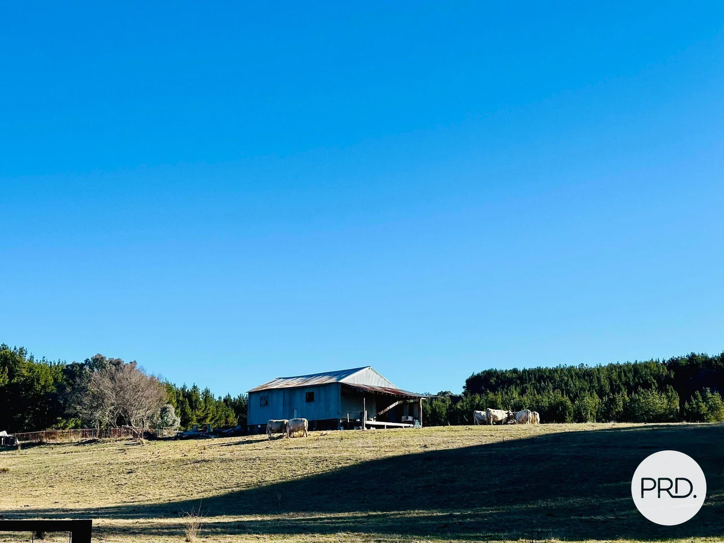 Additional image 43 of 233 Logans Road, Tumbarumba NSW 2653